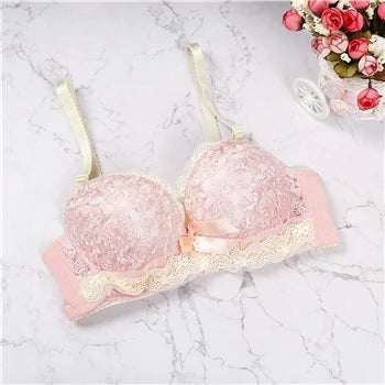 Push Up Lace Bra for Women with Back Closure and Underwire