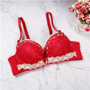 Push Up Lace Bra for Women with Back Closure and Underwire