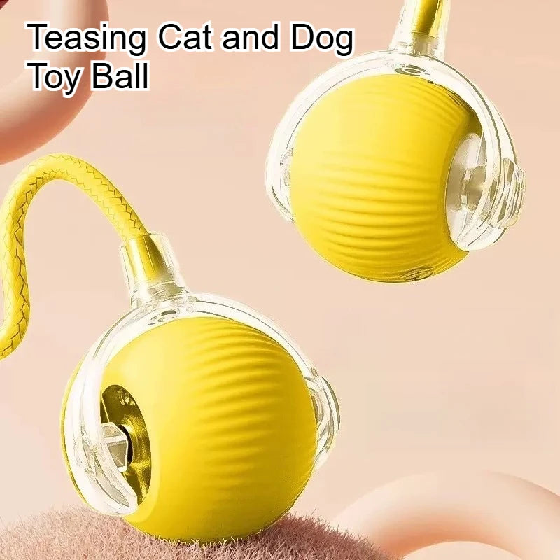 Durable Rubber Teaser Ball for Dogs and Cats Self-Entertainment