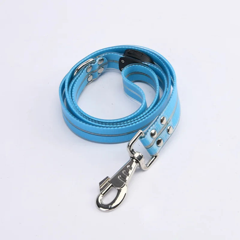 LED Glowing Dog Leash for Enhanced Night Safety