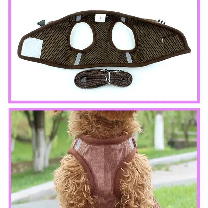 Personalized Vest Harness for Dogs and Puppies