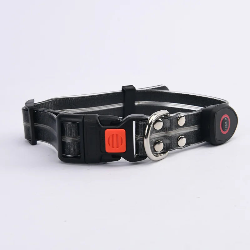 LED Glowing Dog Leash for Enhanced Night Safety