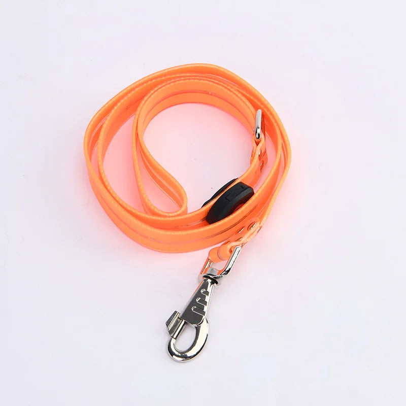 LED Glowing Dog Leash for Enhanced Night Safety