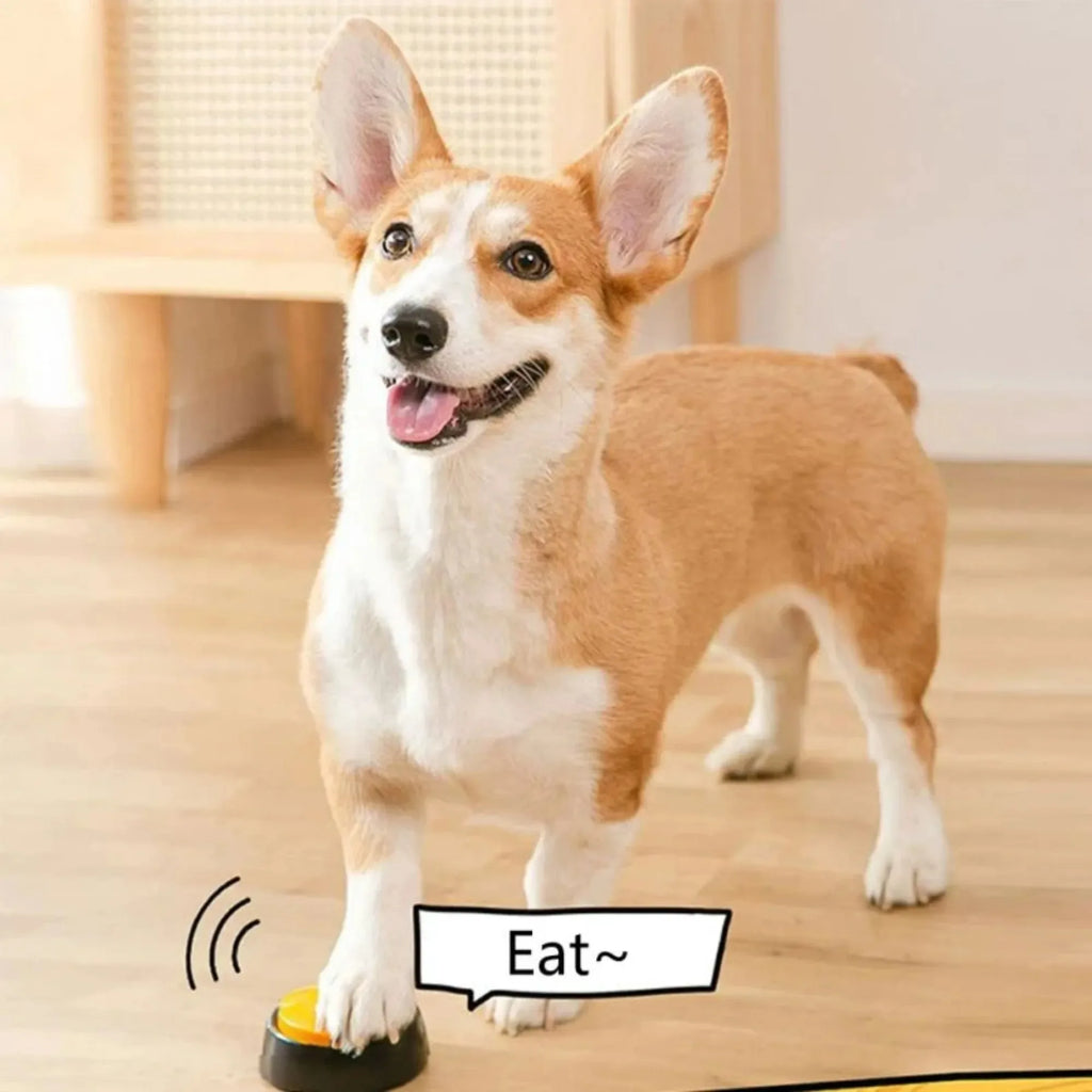 Dog Communication Buttons for Pet Training with 30 Second Playback