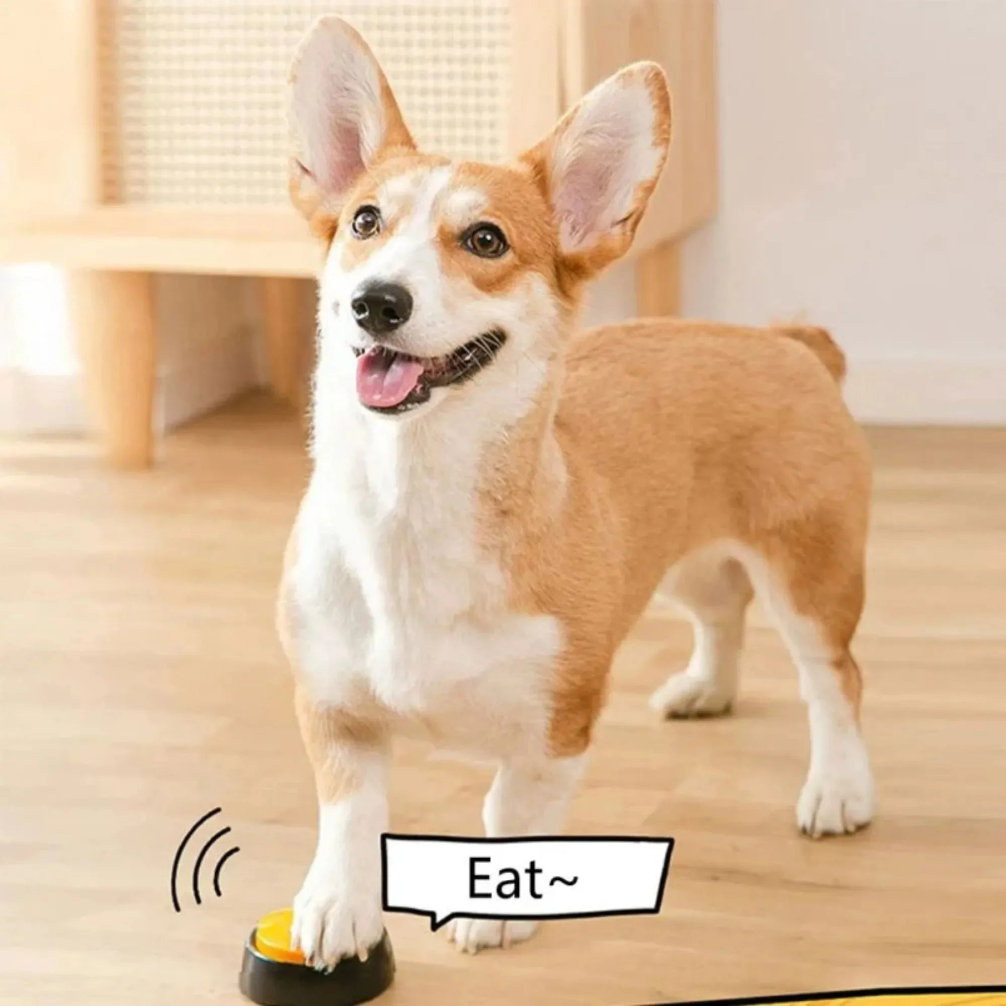 Dog Communication Buttons for Pet Training with 30 Second Playback