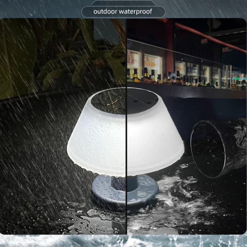 Dimmable Solar LED Garden Lamp with ABS Body for Outdoor Use