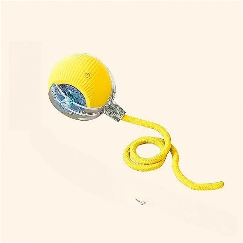 Durable Rubber Teaser Ball for Dogs and Cats Self-Entertainment