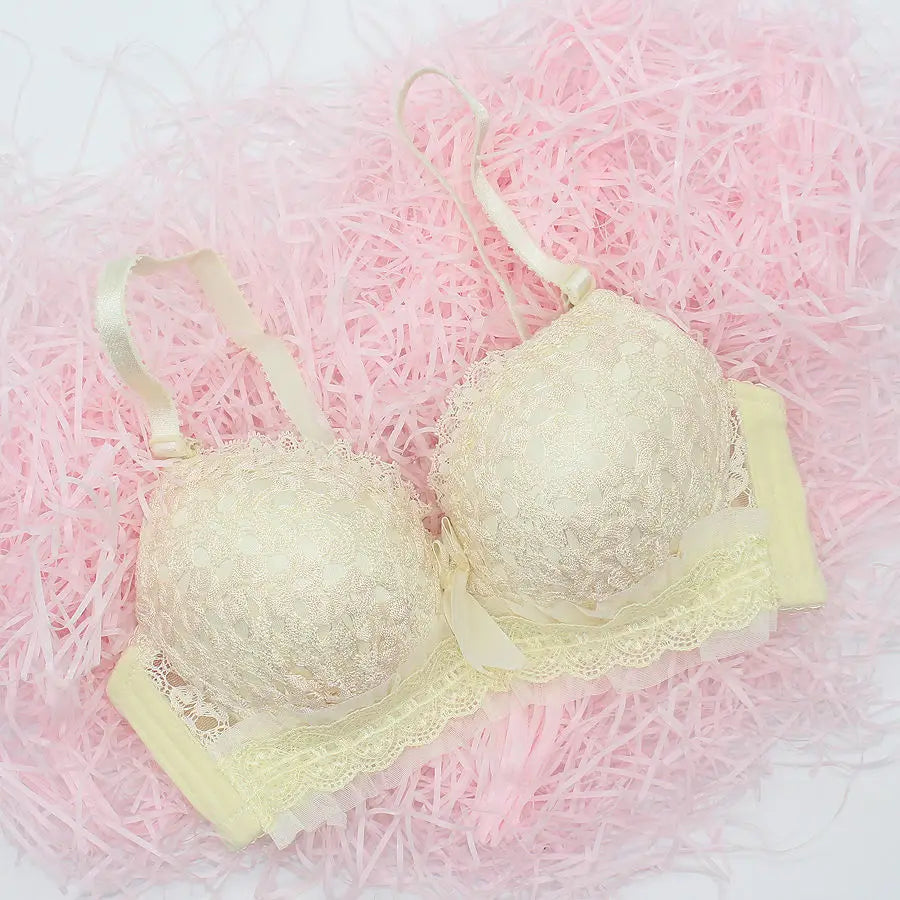 Push Up Lace Bra for Women with Back Closure and Underwire