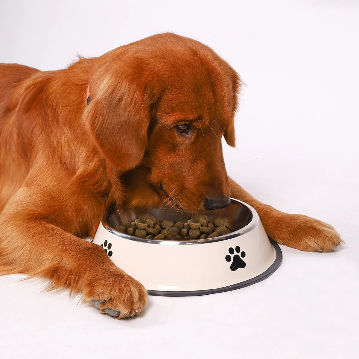 Durable Non-Slip Stainless Steel Pet Bowl for Easy Dining