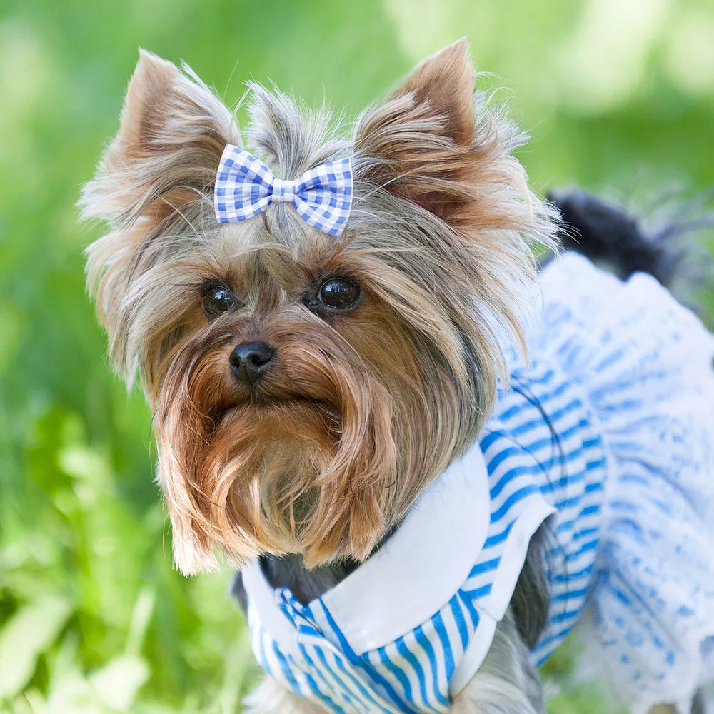 Elegant Handmade Blue Puppy Hair Bows for Stylish Dogs
