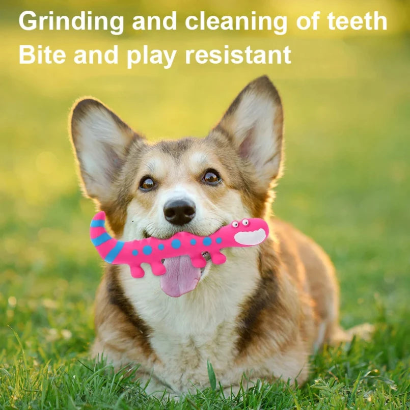 Squeaky Rubber Lizard Dog Chew Toy for Small and Medium Dogs