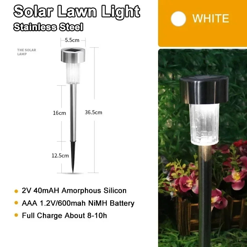 Heinast Contemporary Solar Pathway Lights for Outdoor Use