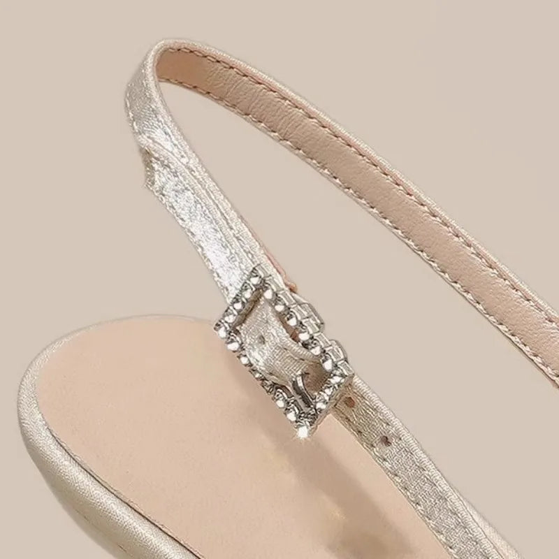 New Women's Shoes Exquisite Pointed Tip High Heeled Sandals for Woman Elegant French Casual Shoe Designer Shoes Sandalias Mujer
