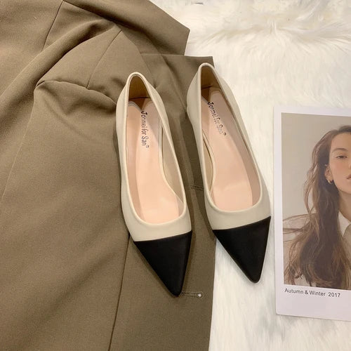 TUOLU Pointed Flat Heel Shoes for Women in Large Size 41