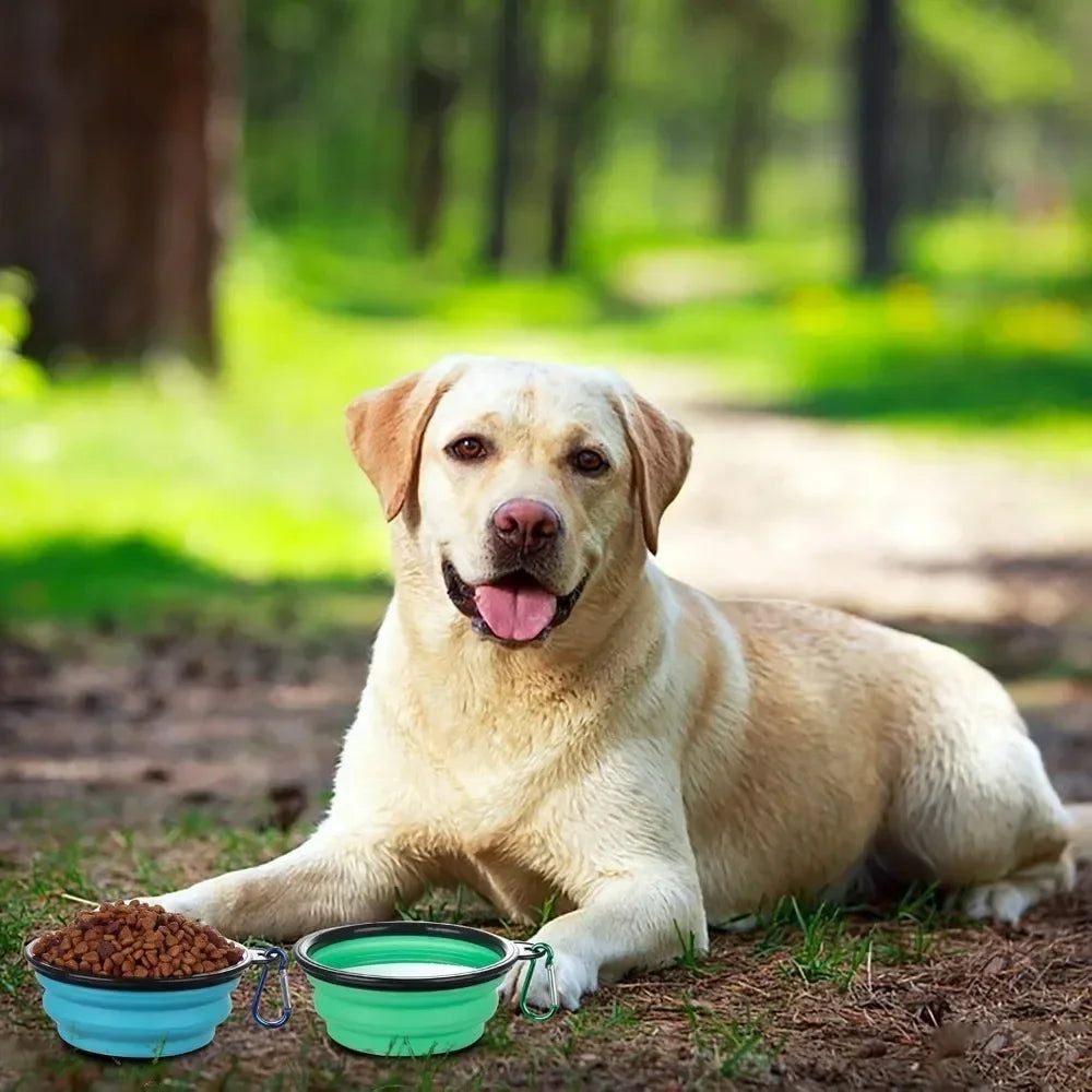 Collapsible Silicone Pet Travel Bowl for Food and Water