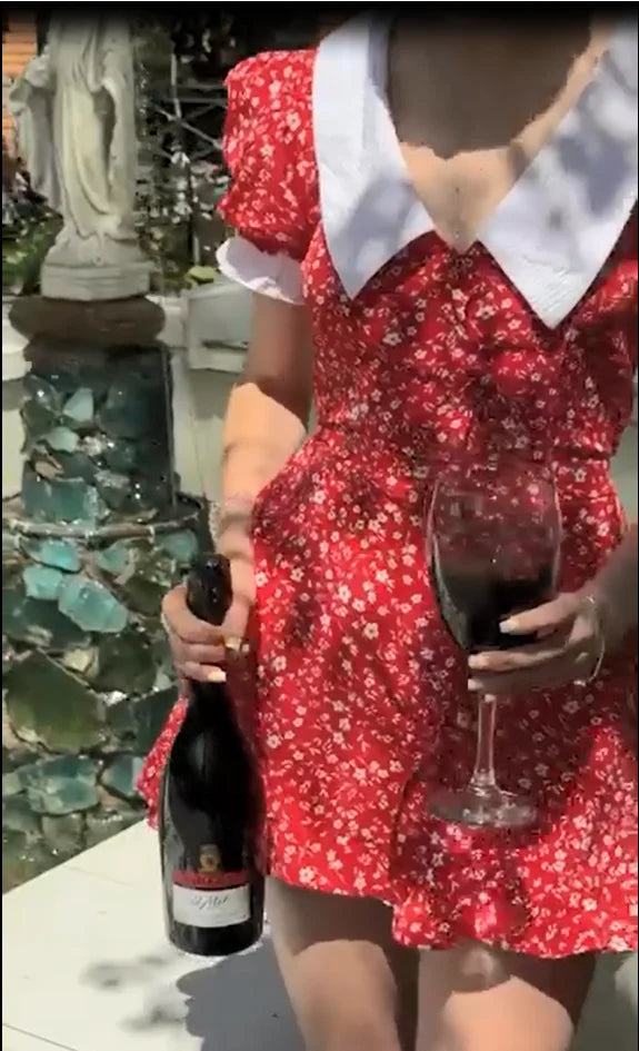 Red Floral Print A-Line Mini Dress with Puff Sleeves