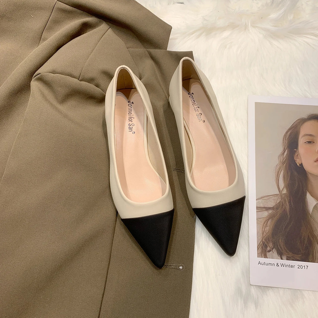 Flat Shoes for Women 2023 New Spring  Autumn Temperament Pointed Flat Heel Ladies Shoes for Women Matching Large Size 41