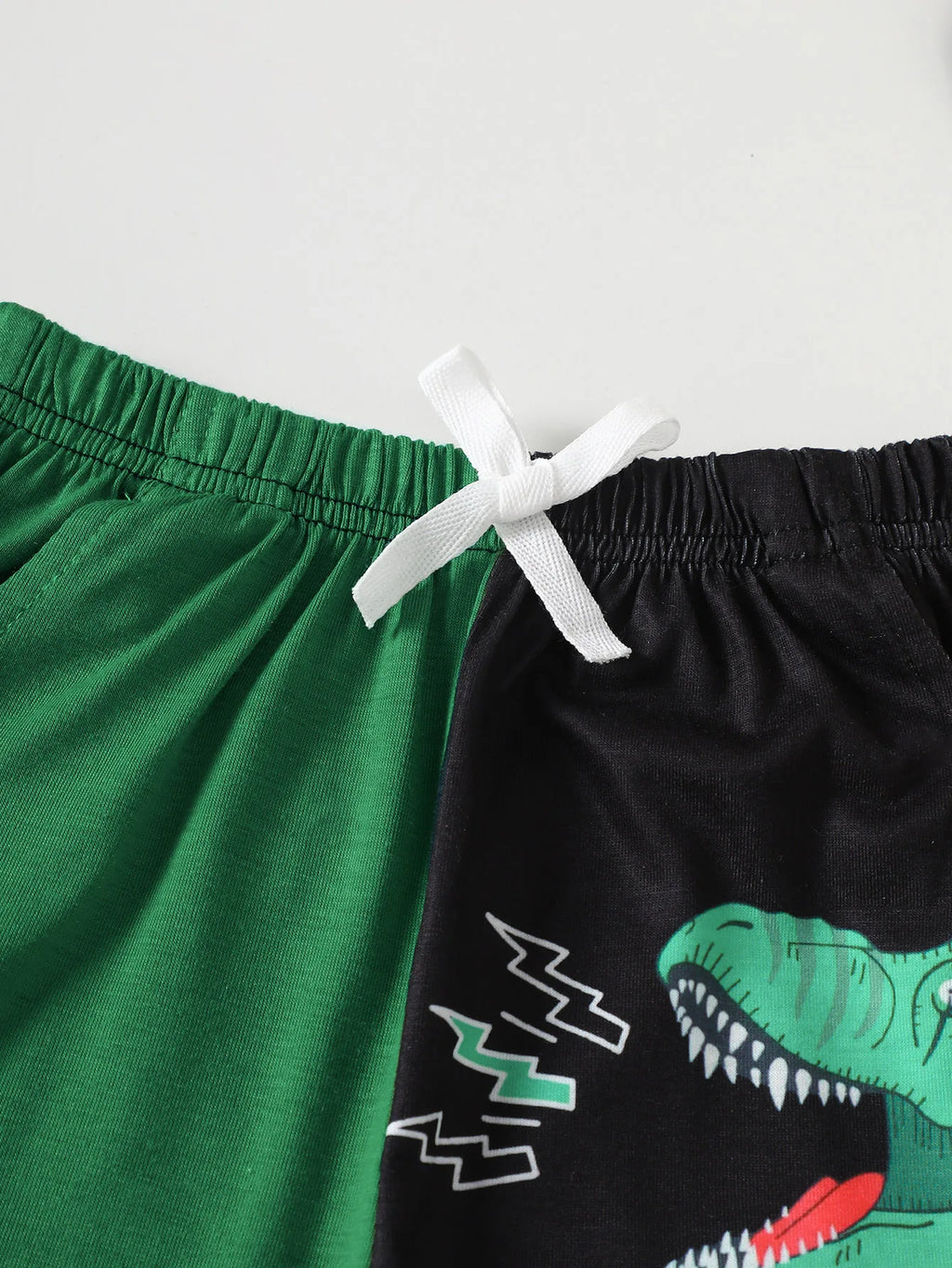 Boys Dinosaur ROAR Print Color Block Summer Outfit Set