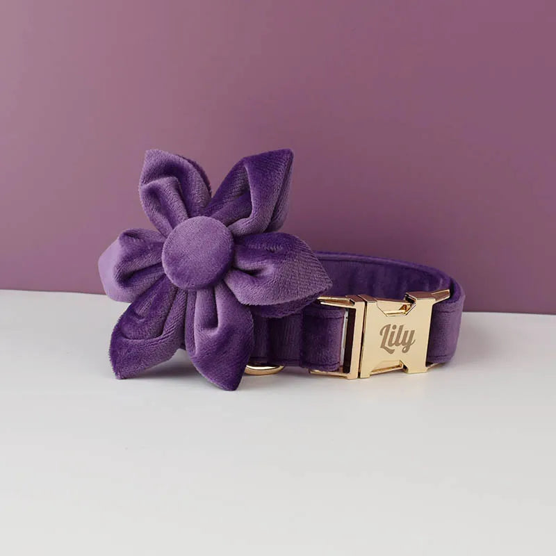 Luxury Velvet Pet Collar and Leash Set with Custom Engraving