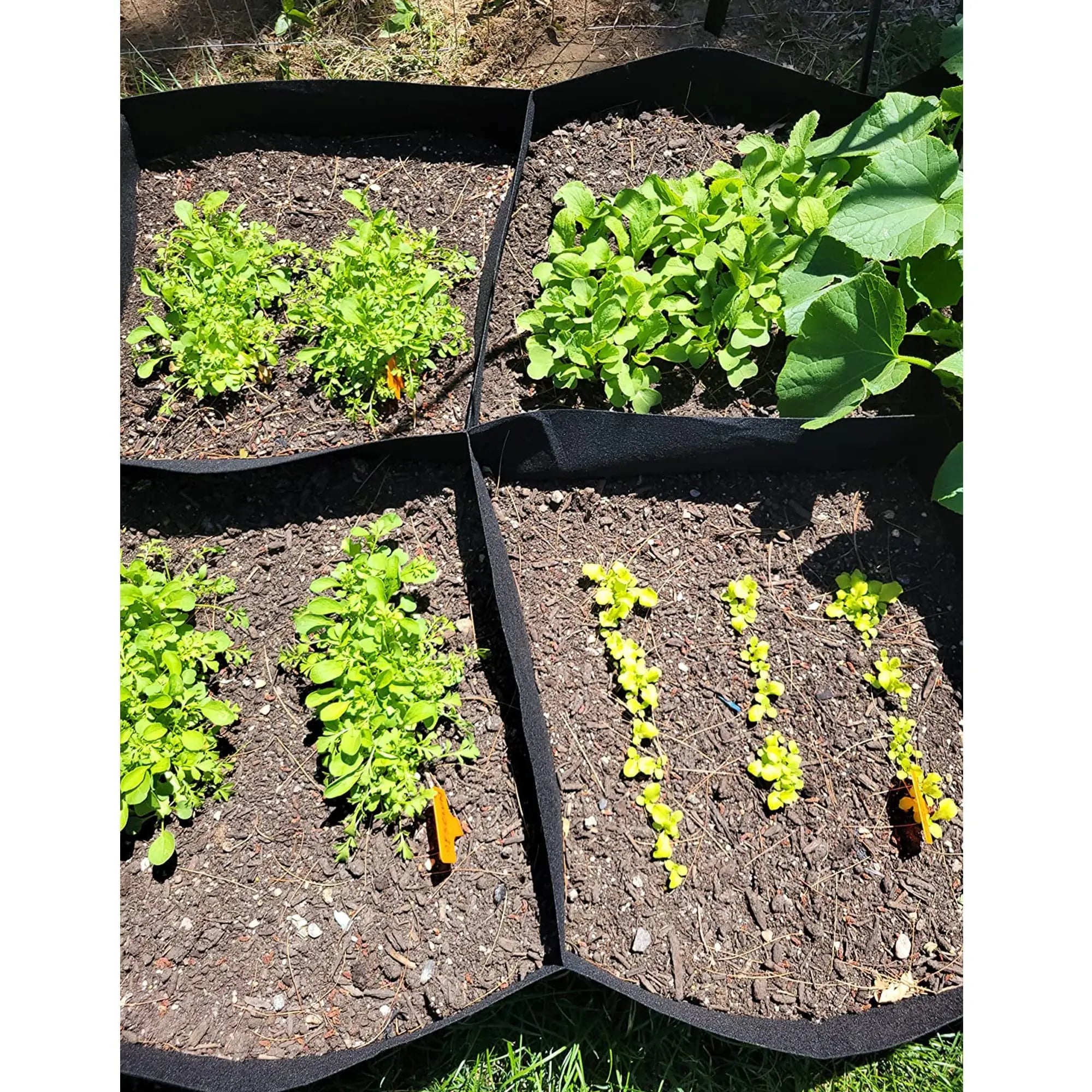 Fabric Raised Garden Bed Planter for Growing Vegetables and Flowers