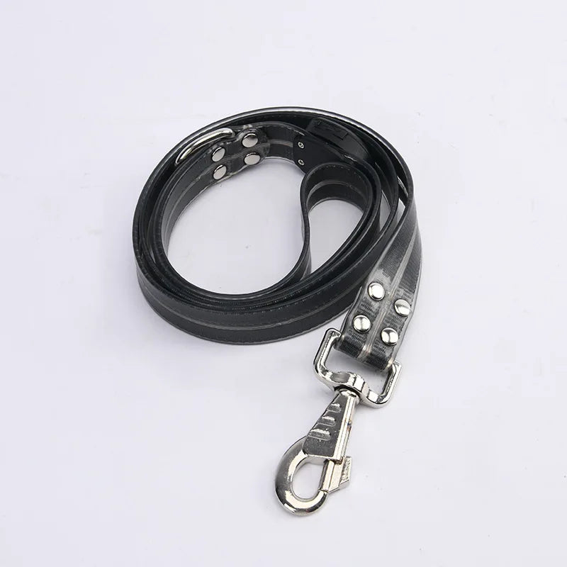 LED Glowing Dog Leash for Enhanced Night Safety