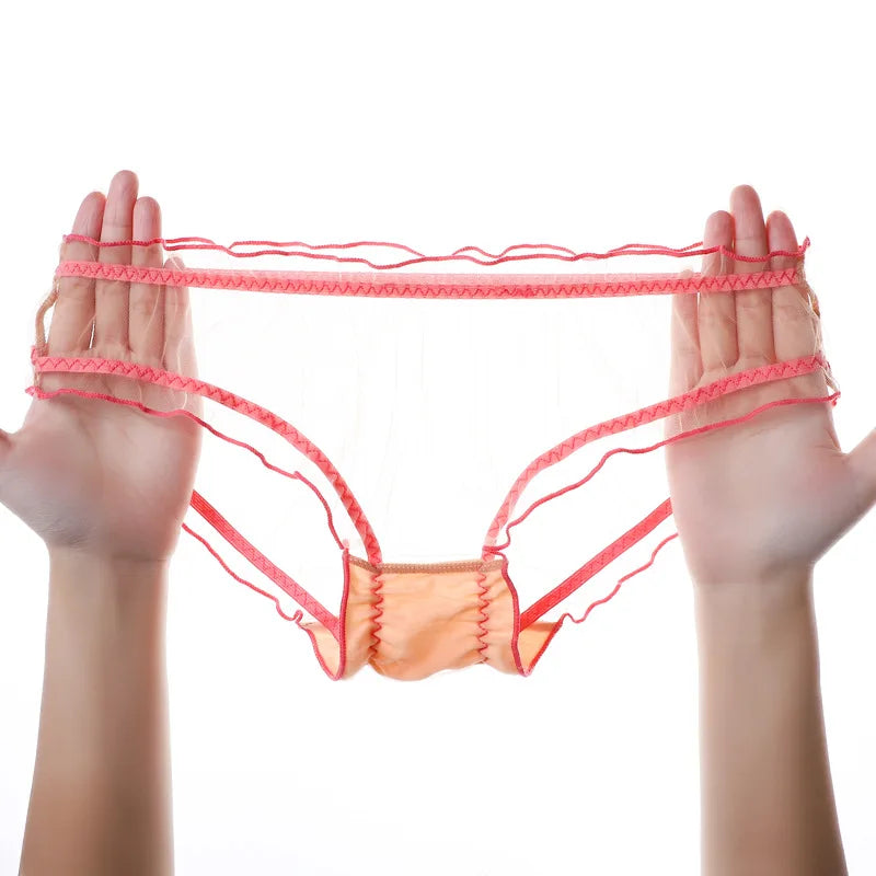 Transparent Underwear for Women Sexy Panties Mesh See-Through Female Cotton Crotch Low Waist Briefs Lightweight Elasticity Slips