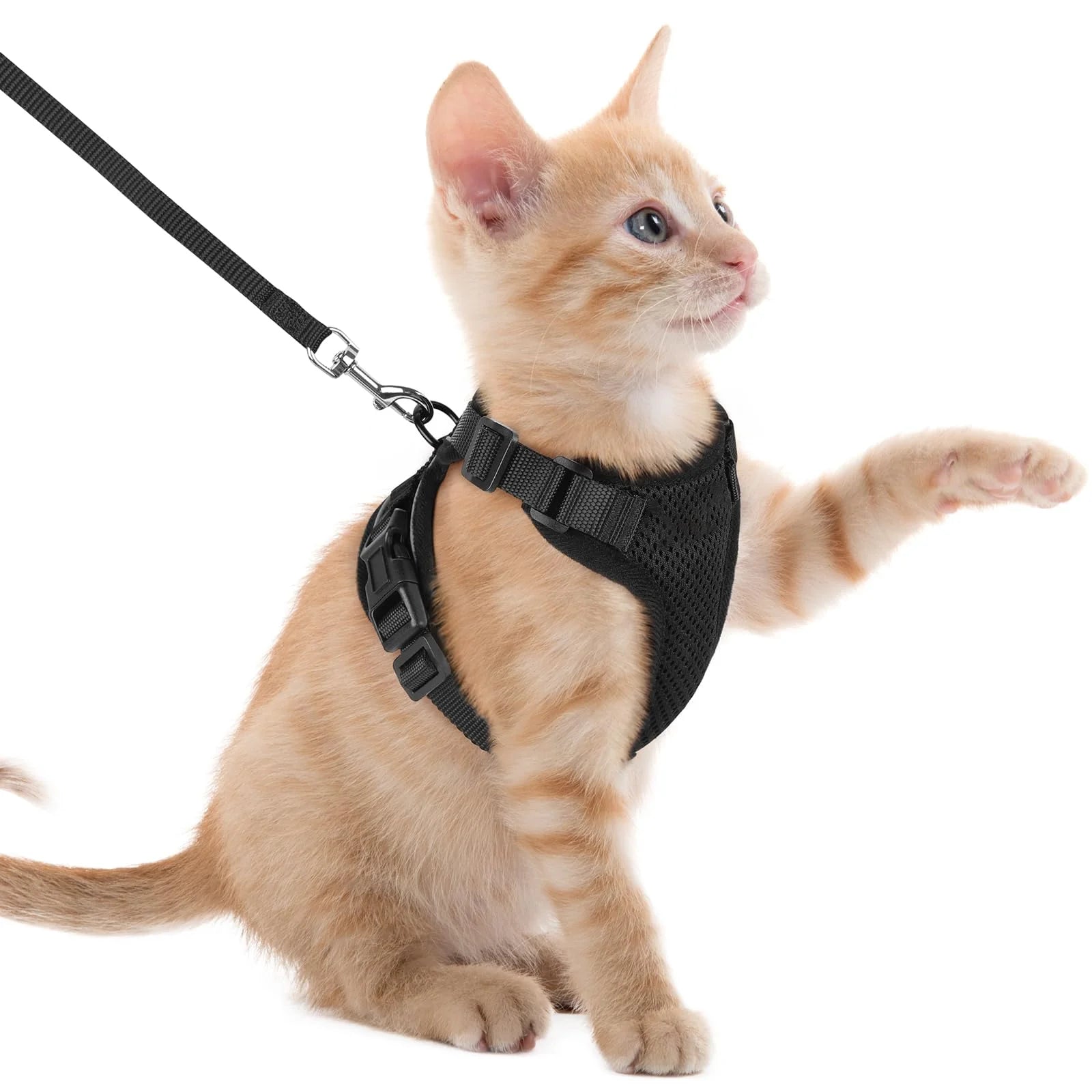 Adjustable Cat Harness and Leash Set for Small Pets