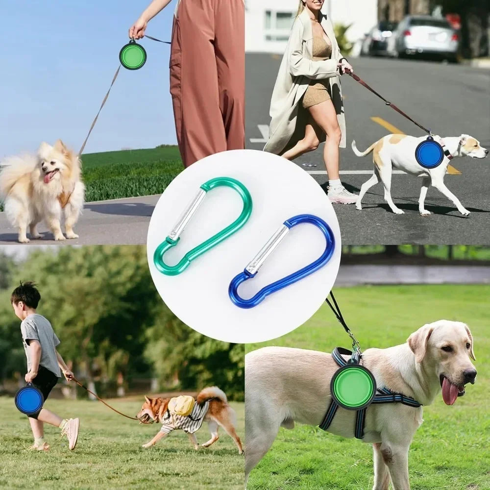 Collapsible Silicone Pet Travel Bowl for Food and Water