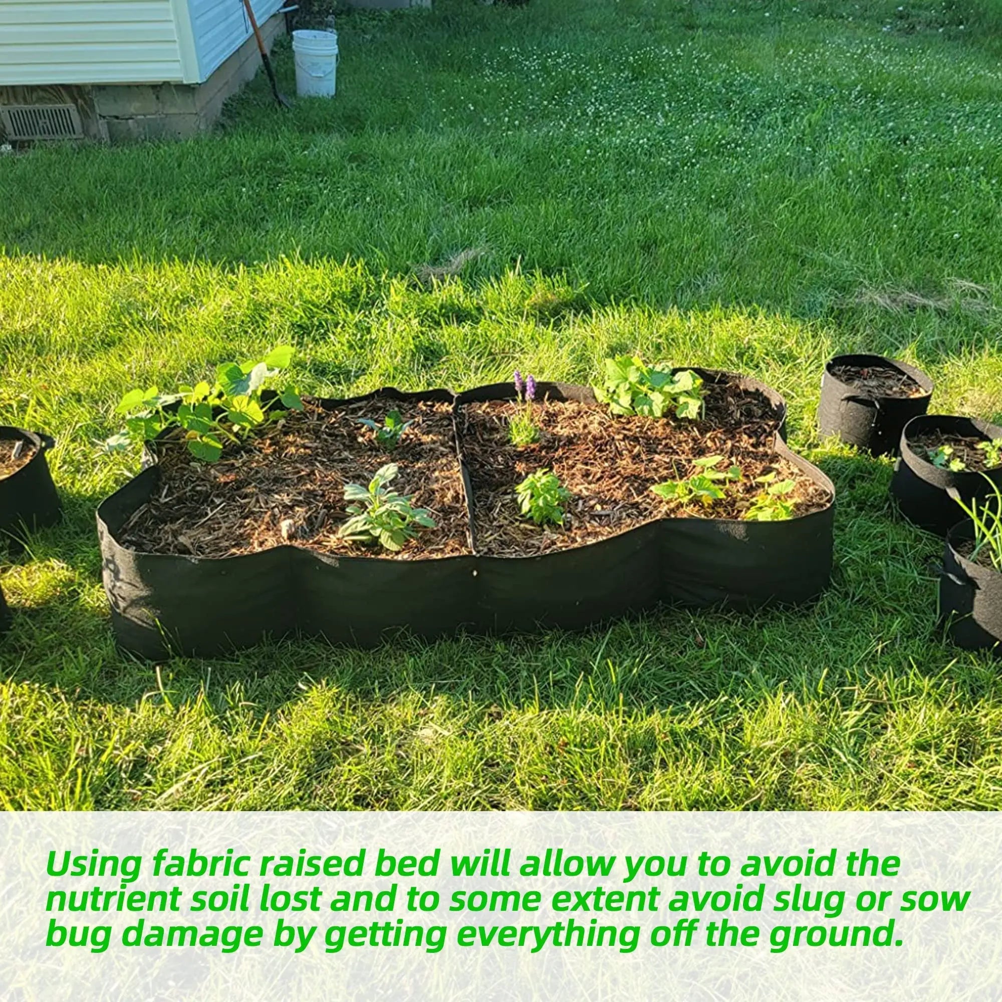 Fabric Raised Garden Bed Planter for Growing Vegetables and Flowers