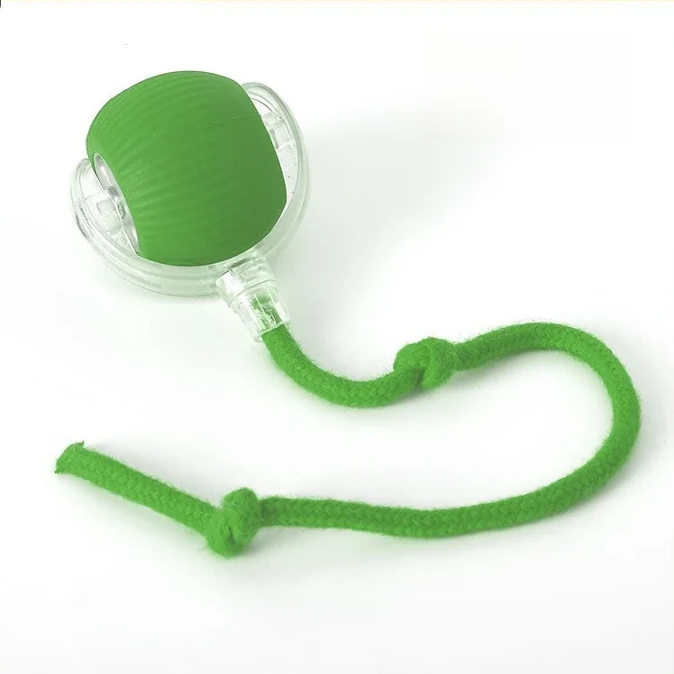 Durable Rubber Teaser Ball for Dogs and Cats Self-Entertainment