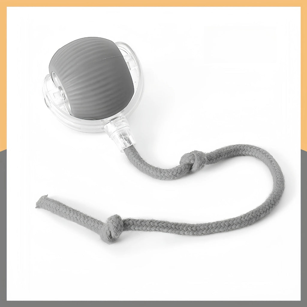 Durable Rubber Teaser Ball for Dogs and Cats Self-Entertainment