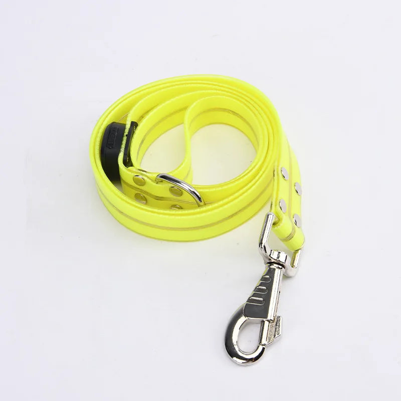 LED Glowing Dog Leash for Enhanced Night Safety