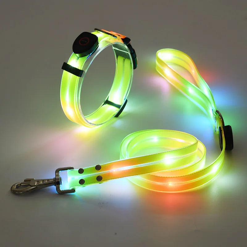 LED Glowing Dog Leash for Enhanced Night Safety