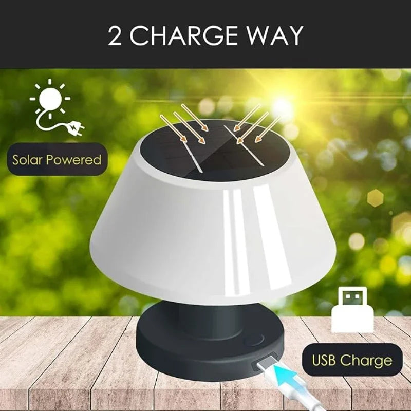 Dimmable Solar LED Garden Lamp with ABS Body for Outdoor Use