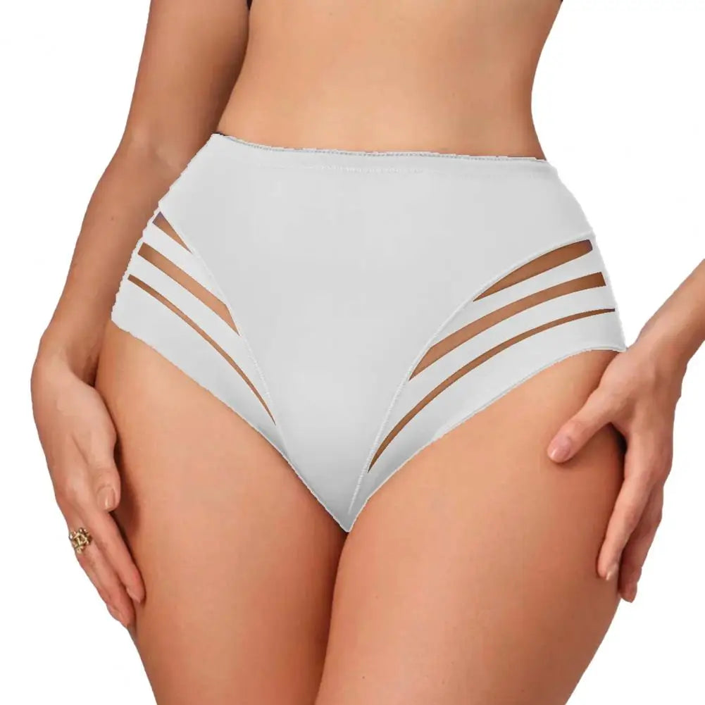 Mid-Rise Breathable Sheer Panties for Women by MALEY LifeStyle