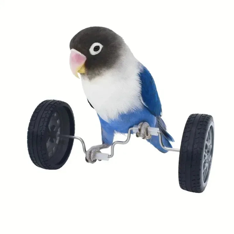 Interactive Bird Training Toy for Small and Medium Birds