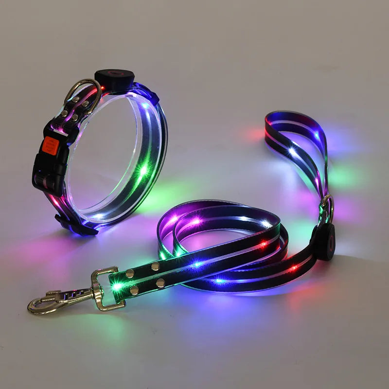 LED Glowing Dog Leash for Enhanced Night Safety