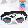 Secure-Fit Sunglasses for Medium and Large Dogs
