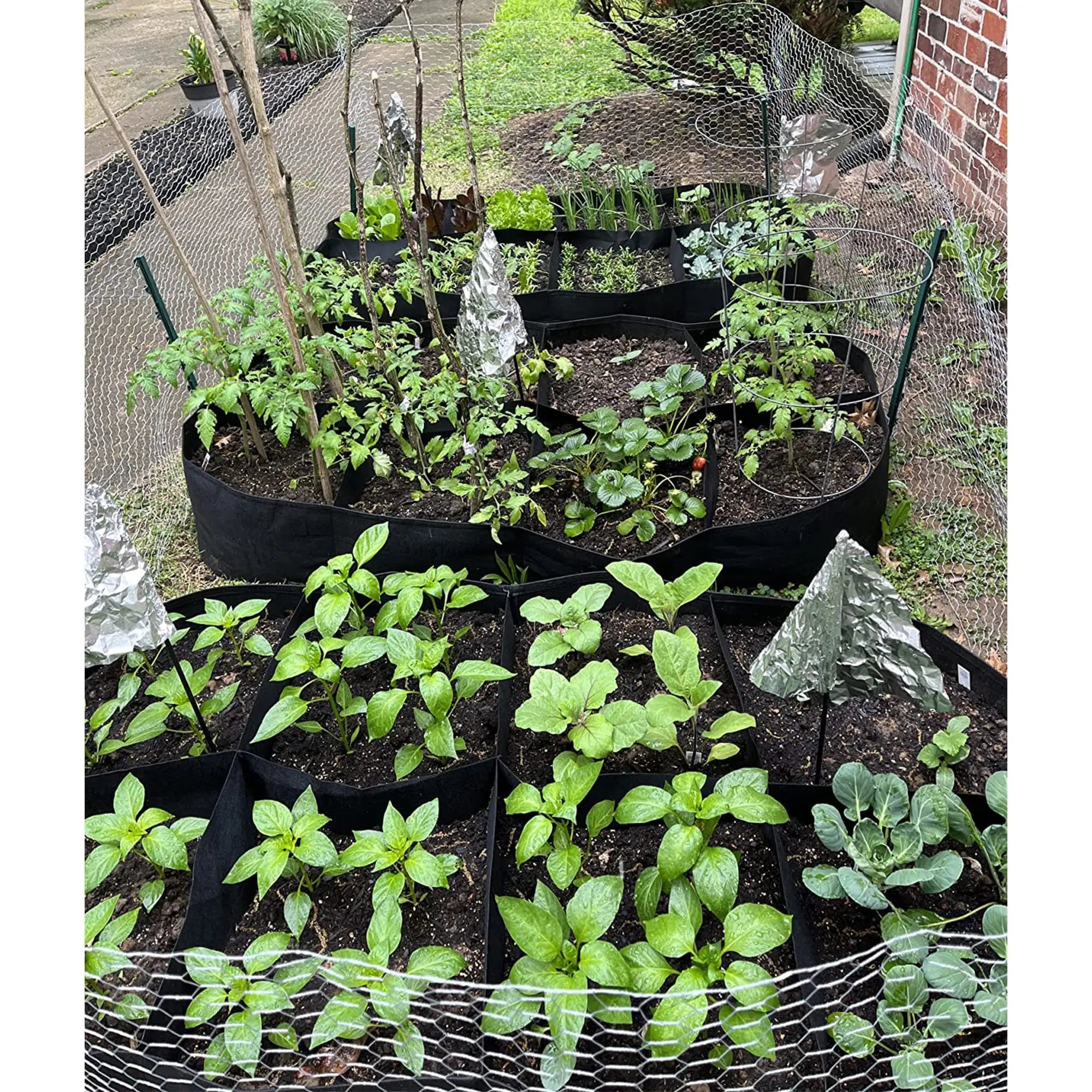 Fabric Raised Garden Bed Planter for Growing Vegetables and Flowers