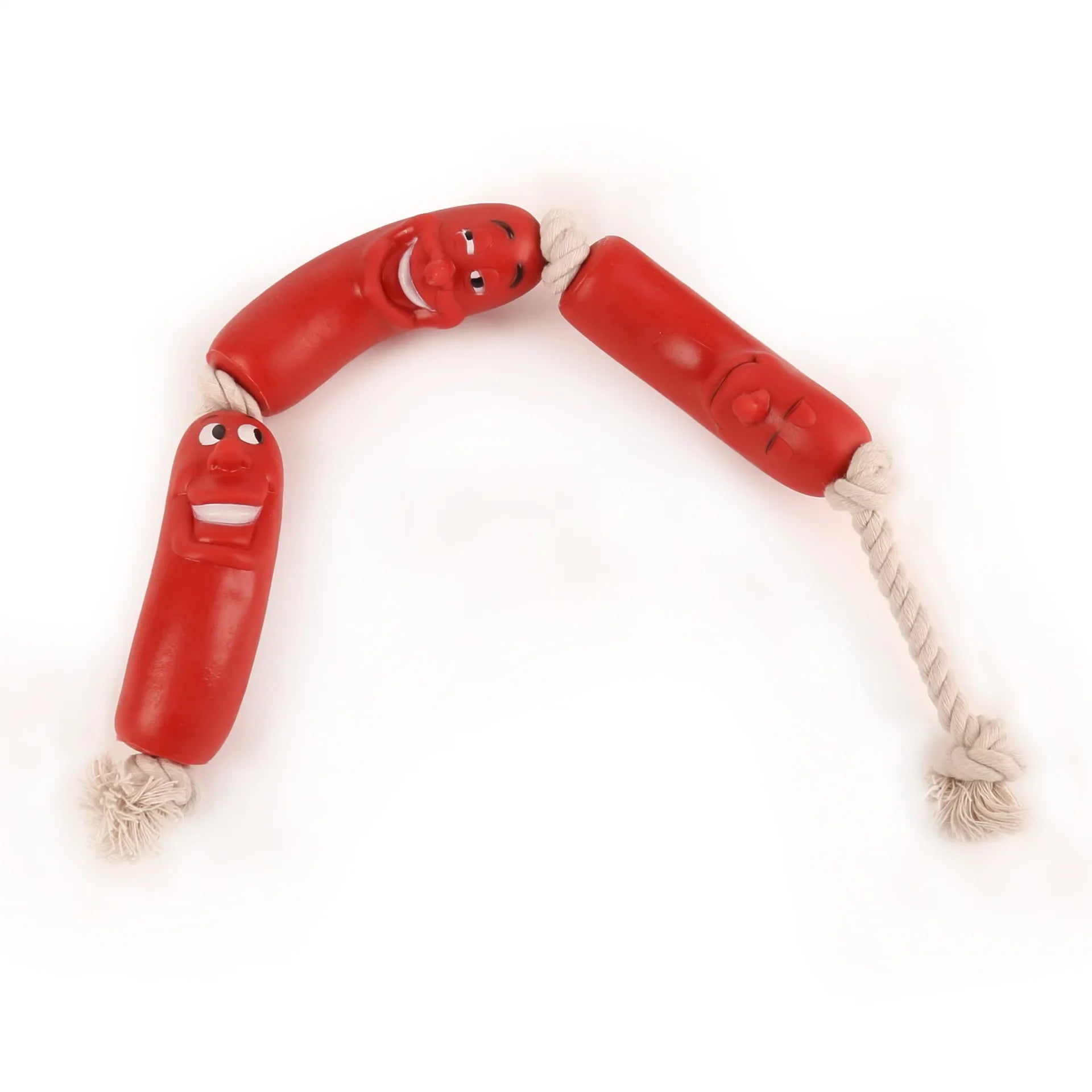 Durable Eco-Friendly Squeaky Chew Dog Toys for Active Play