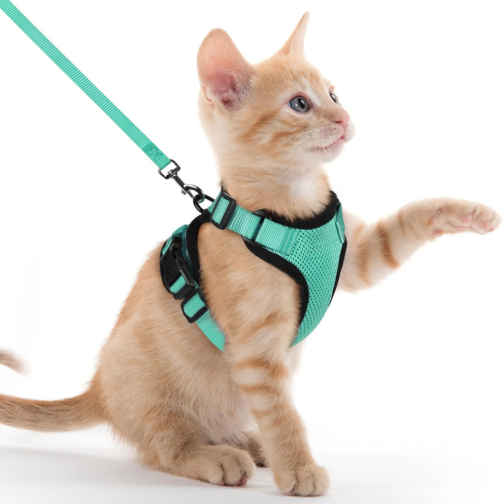 Adjustable Cat Harness and Leash Set for Small Pets
