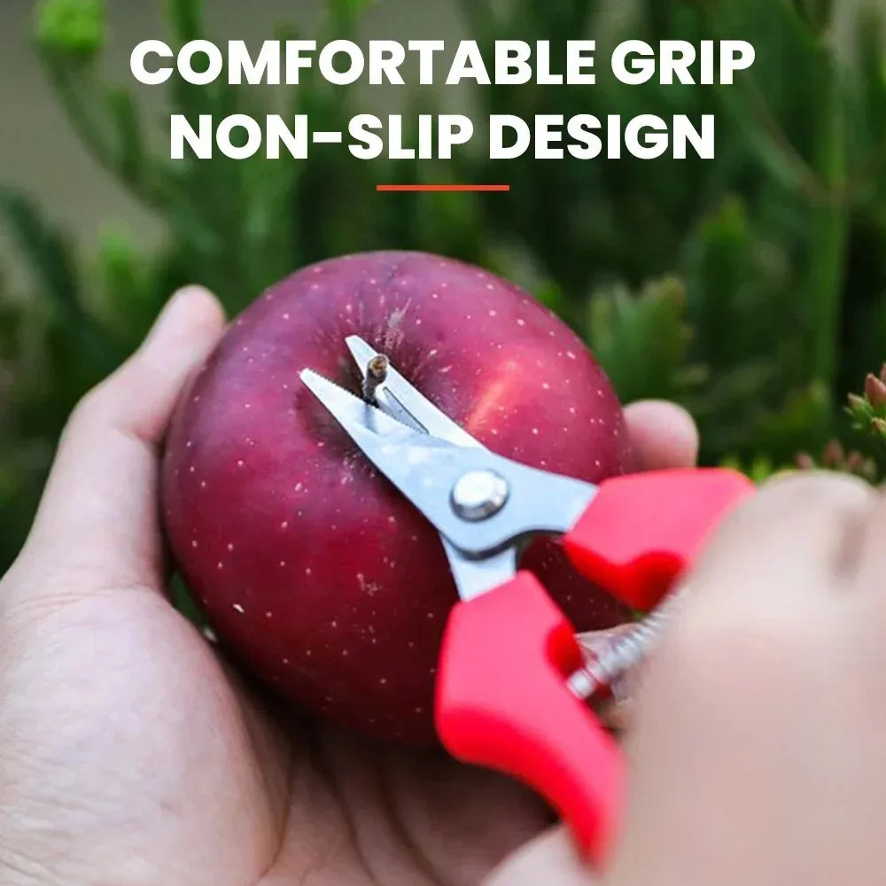 Stainless Steel Garden Pruning Shears for Home Use