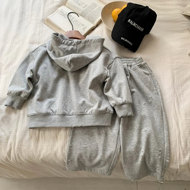 Boys Spring and Autumn Two-piece Set Hooded Top and Pants