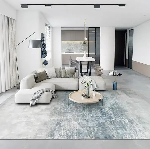 Large Gray Soft Lounge Rug for Modern Living Room and Bedroom