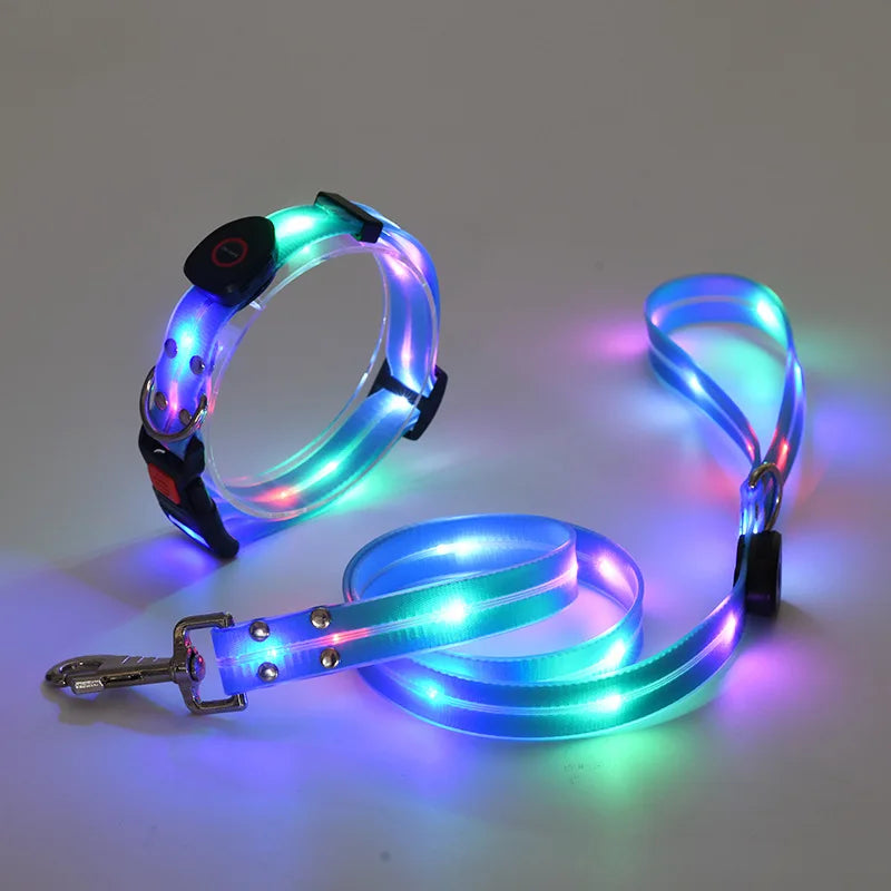 LED Glowing Dog Leash for Enhanced Night Safety