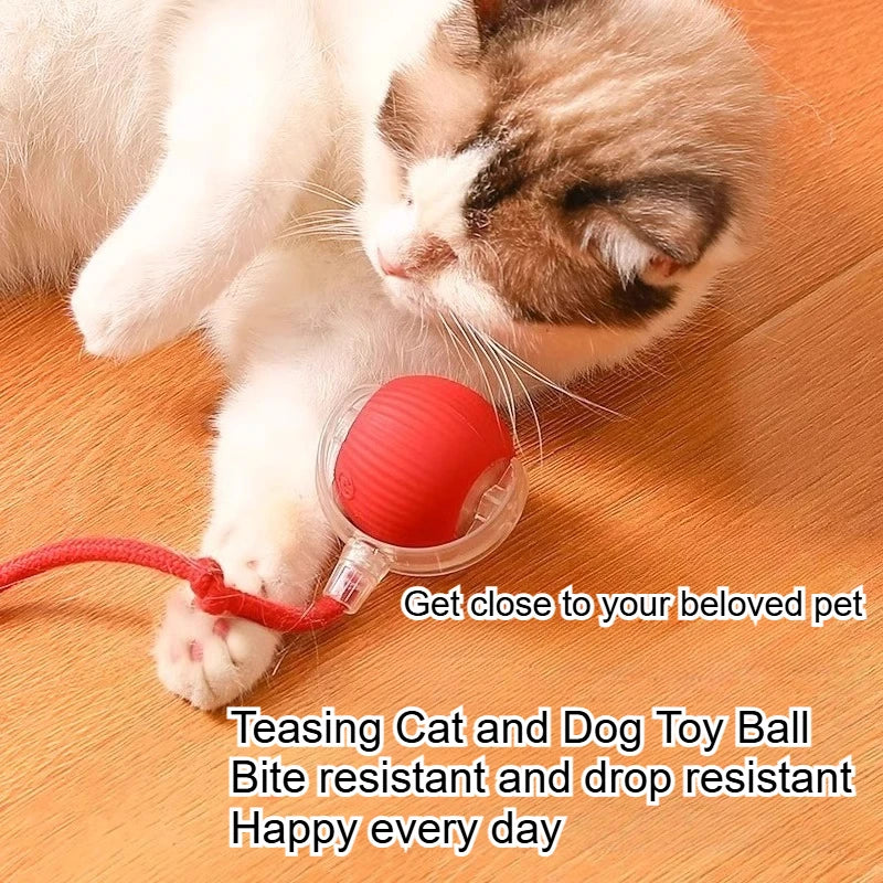 Durable Rubber Teaser Ball for Dogs and Cats Self-Entertainment