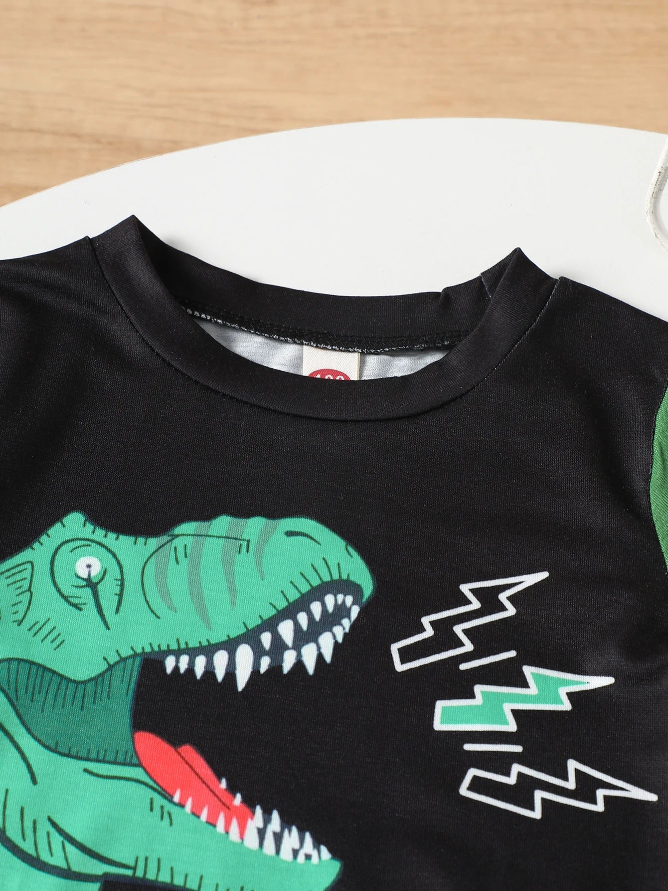 Boys Dinosaur ROAR Print Color Block Summer Outfit Set
