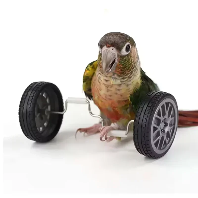 Interactive Bird Training Toy for Small and Medium Birds