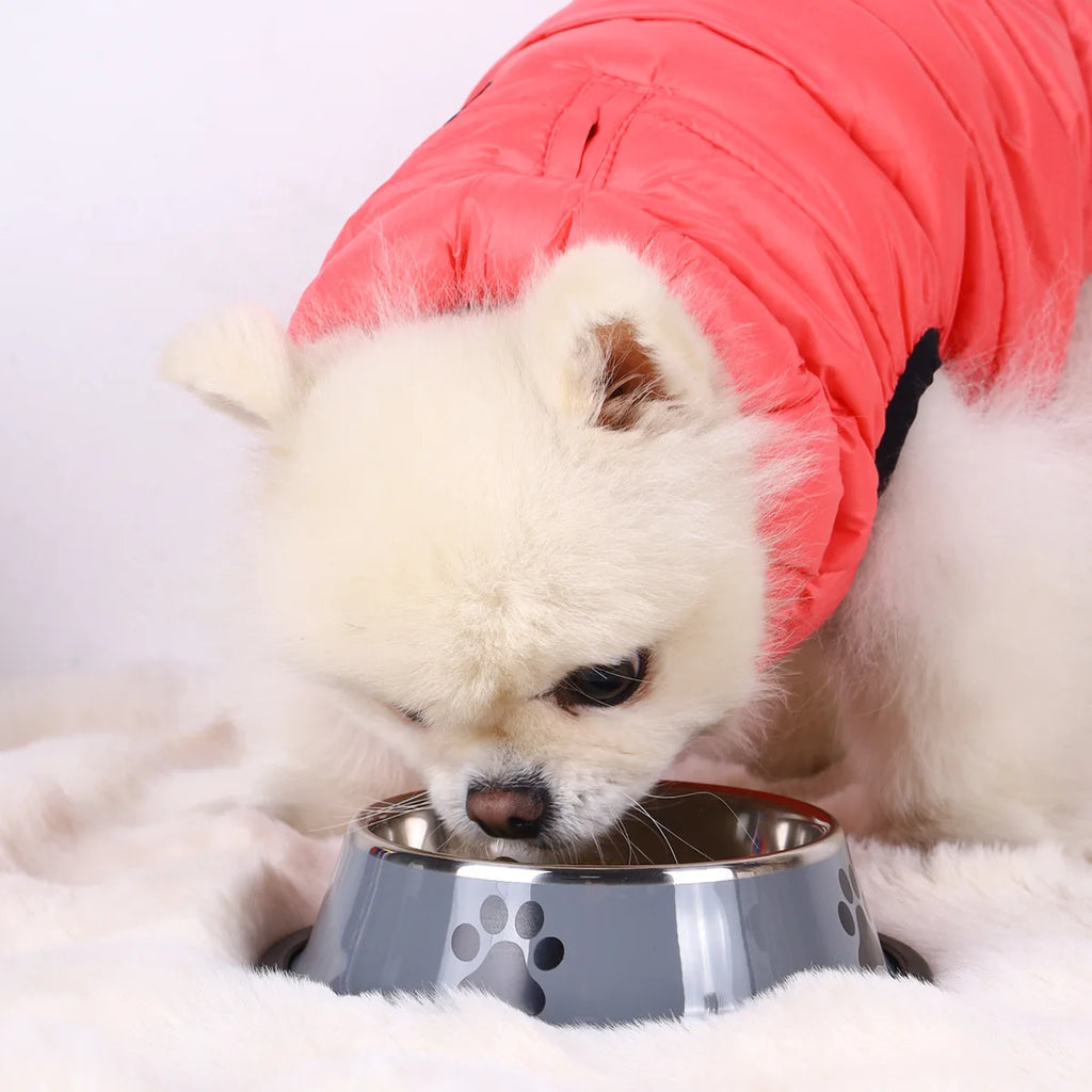 Durable Non-Slip Stainless Steel Pet Bowl for Easy Dining