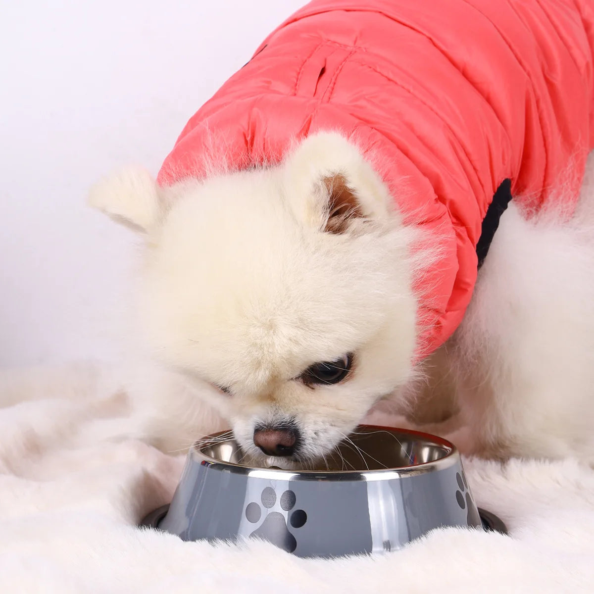 Durable Non-Slip Stainless Steel Pet Bowl for Easy Dining